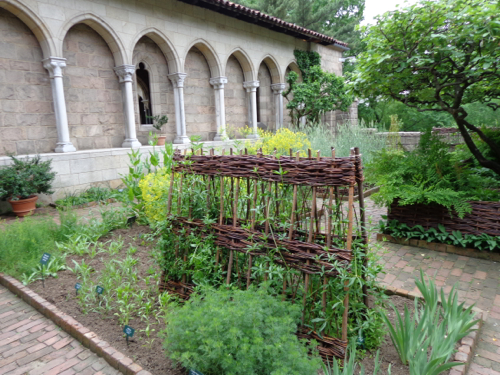 The Bonnefont Cloister garden at the The Cloisters in New York taken by Claire Delacroix