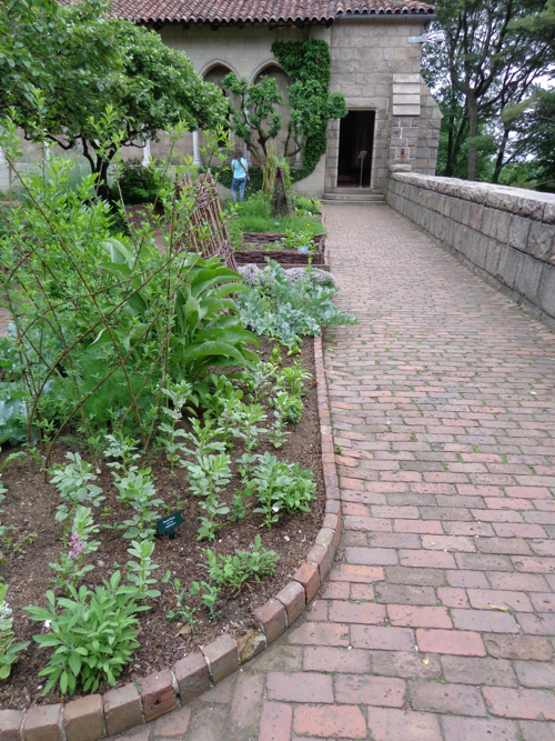 The Bonnefont Cloister garden at the The Cloisters in New York taken by Claire Delacroix