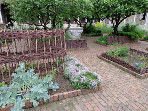 The Bonnefont Cloister garden at the The Cloisters in New York taken by Claire Delacroix