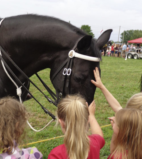 The RCMP Musical Ride, photographed by Deborah Cooke