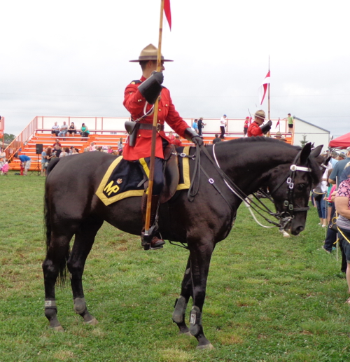 The RCMP Musical Ride, photographed by Deborah Cooke