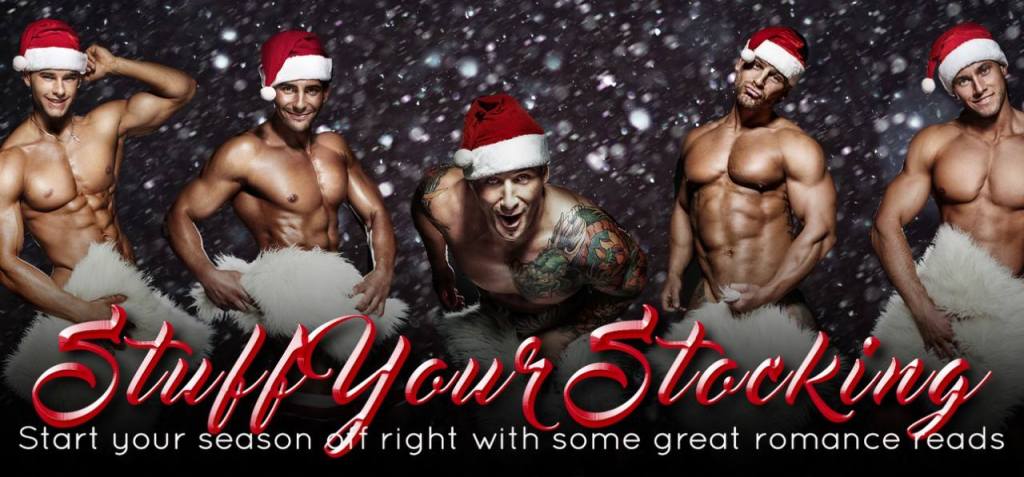 Stuff Your Stocking December Promotion