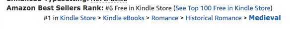 The Renegade's Heart #5 overall on the bestseller list at Amazon.com on April 26, 2017