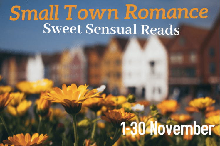 Small Town Romance November 2020 BookFunnel promotion