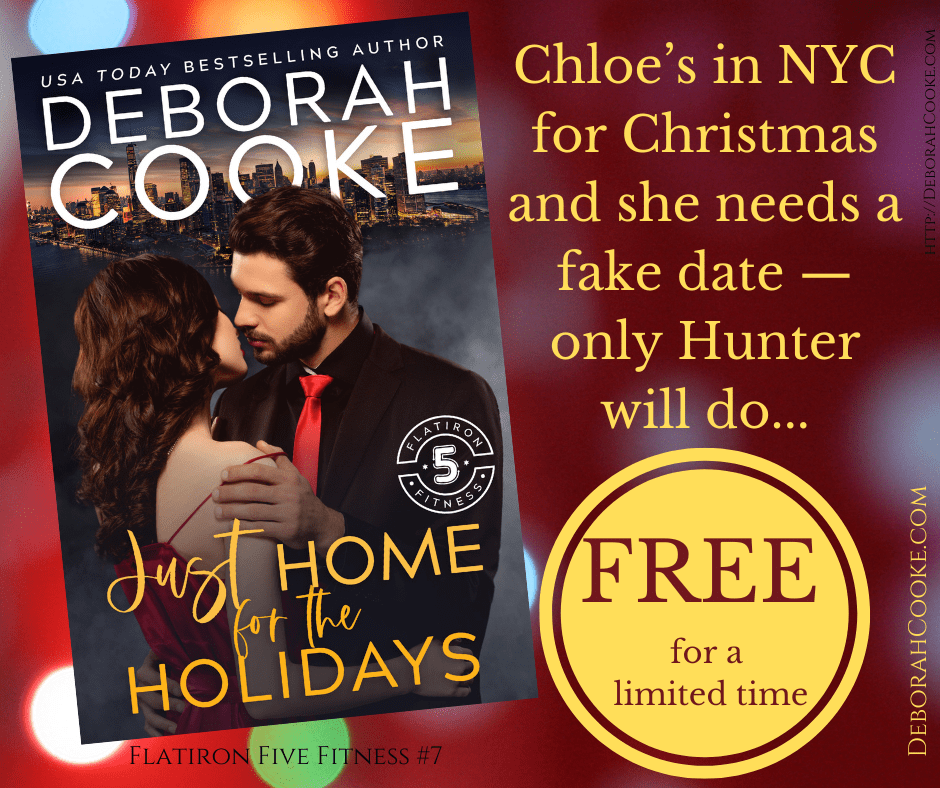 Last Chance – Just Home for the Holidays is a FR33&nbsp;Read!